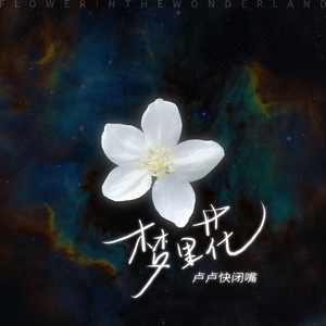 亚洲AV无码偷拍在线观看
