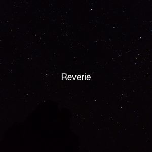 亚洲AV无码偷拍在线观看
